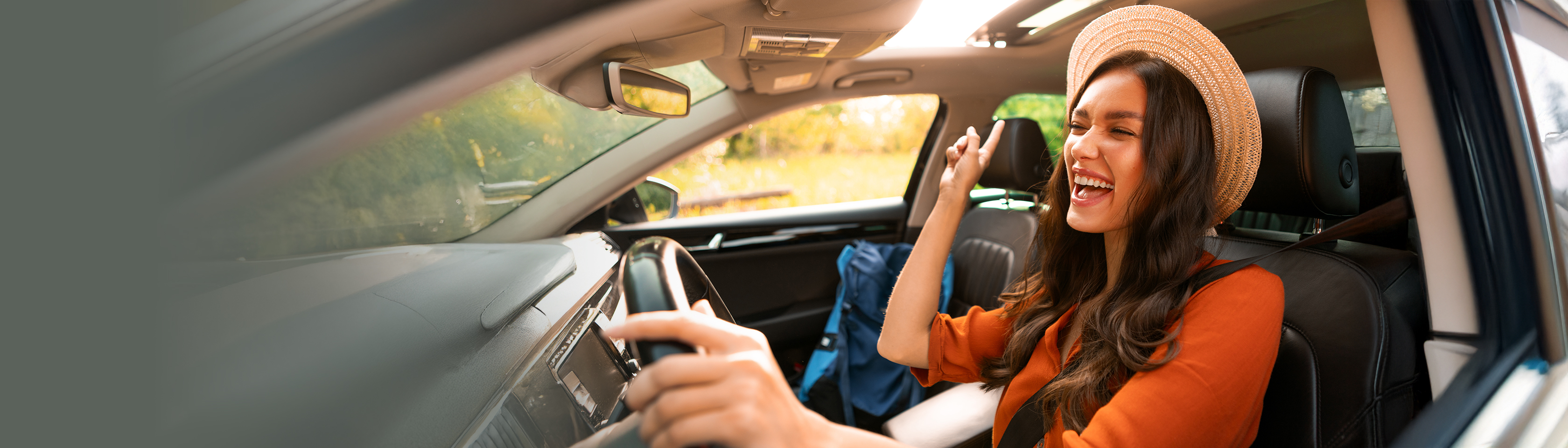 Arval AutoSelect Voitures d'occasion